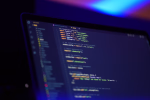 Desarrollo de software a la medida para empresas